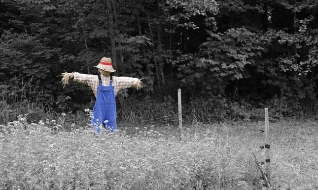 The Scarecrow by Phillip Englund