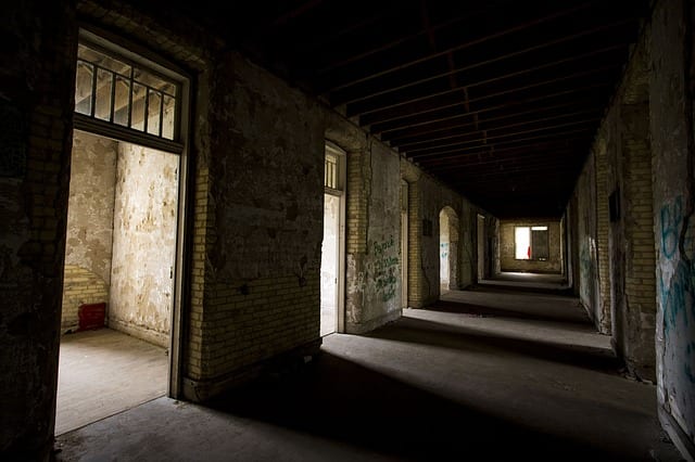 Asylum by Richard G. Bouchard