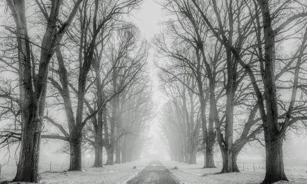 Just Past Noon by Annette Gagliardi